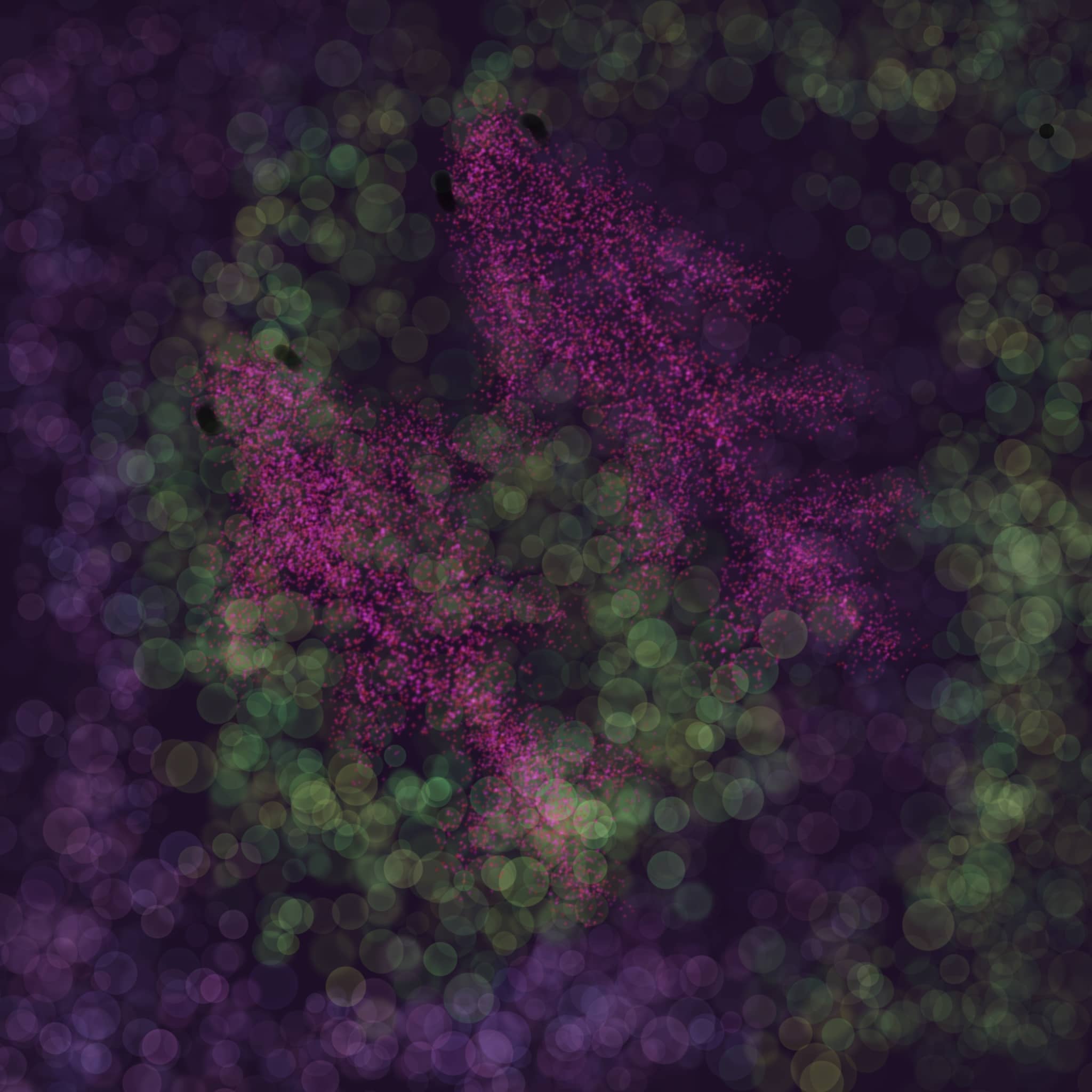 Digital painting by Sepehr Roshanshomal