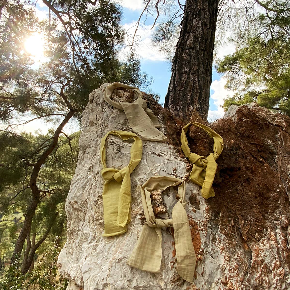 Natural Dye painting by Sepehr Roshanshomal